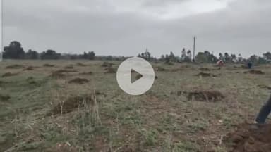 चांद: चांद की बंजारी टेकरी पर 1000 पौधों का रोपण किया गया