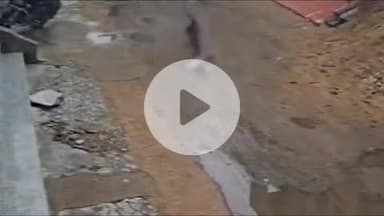 लाडपुरा: विवेकानंद नगर में डेढ़ साल के बच्चे पर आवारा कुत्तों ने किया हमला, सीसीटीवी फुटेज आया सामने, गंभीर घायल