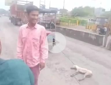 कानपुर: बाबू पुरवा के बगाही इलाके में कुत्ते को ई-रिक्शा से कुचलकर मौत के मामले में FIR दर्ज