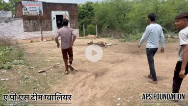 मालिक ने उसे मरने के लिए छोड़ दिया …

Respect girls help poor help animals 

#apsgurjar #help #viral #support #gwalior