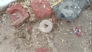 अमरोहा: अमरोहा में तेंदुए का खौफ बरकरार, घर में बंधे पशुओं पर किया हमला, एक मवेशी को जंगल में ले जाकर बनाया निवाला