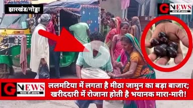 झारखंड/गोड्डा : ललमटिया में लगता है मीठा जामुन का बड़ा बाजार; खरीददारी में रोजाना होती है भयानक मारा-मारी! #lalmatia