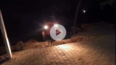 हसनपुर: रहरा के गंगेश्वरी क्षेत्र में धड़ल्ले से चल रहा मिट्टी खनन का कारोबार, वीडियो वायरल, अधिकारी मामले की जांच में जुटी