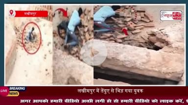 लखीमपुर में तेंदुए से भिड़ गया युवक, नजारा देख उड़े सबके होश, देखें वीडियो
#लखीमपुर #तेंदुए #युवक