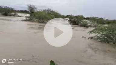 मांगरौल: तिसाया गांव में लगातार बारिश से खेत-खलिहान हुए जलमग्न, नीचली बस्तियों में घुसा पानी