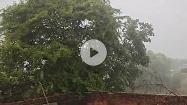 झांसी: 30 मिनट की बारिश में तालाब बनीं डडियापुरा और ओरछा गेट की सड़कें, जनजीवन हुआ अस्त-व्यस्त #jansamasya