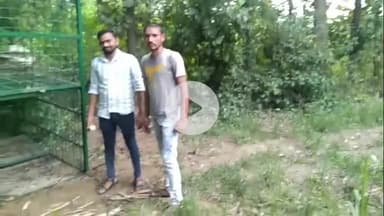 अमरोहा: रजबपुर के गांव पीठखेड़ा में तेंदुए का खौफ, पिंजरे में नहीं आ रहा तेंदुआ, पास से गुजरा