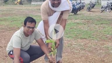 चांद: चांद नगर में नगर परिषद और स्थानीय निवासियों ने किया पौधारोपण