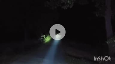 उदयपुर धरमजयगढ़: खेदापाली रेलवे लाइन के पास हाथियों का दल दिखा, विभाग हुआ अलर्ट