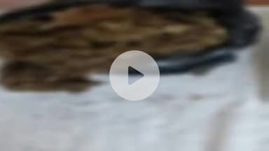 साहेबपुर कमाल: साहेबपुरकमाल वार्ड संख्या 9 से एनडीपीएस एक्ट में एक महिला गिरफ्तार