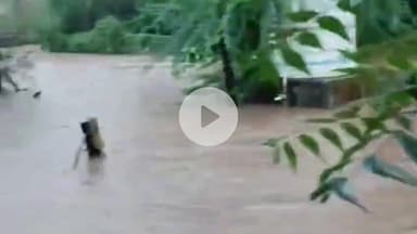 अक्कलकुवा: वाण्याविहीर गावात पाणी शिरल्याने आदिवासी बांधवांचं जनजीवन विस्कळीत ; संसार उपयोगी साहित्यसह धान्याच मोठ नुकसान