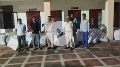 हमीरगढ़: मंगरोप पुलिस ने अवैध मादक पदार्थ के खिलाफ बड़ी कार्रवाई, एक खेत से 4532 गांजे के पौधे किए ज़ब्त