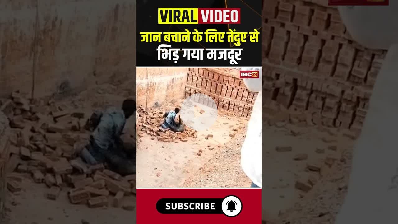 जान बचाने के लिए तेंदुए से भिड़ गया मजदूर #upnews #leopard #viralvideo #viralnews #leopardvideo