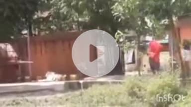 देेेवरिया: सततुआ बुजुर्ग गांव में विवाहिता ने 2 साल के बच्चे को कमरे से बाहर निकालकर दुपट्टे के सहारे फांसी लगाकर की आत्महत्या