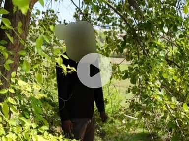 पिंड्रा: बड़ागांव थाना क्षेत्र में सड़क किनारे पेड़ से लटकता मिला युवक का शव, पुलिस टीम शिनाख्त में जुटी