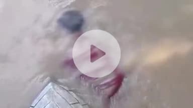 कप्तानगंज: कुसम्हा सुखवासी टोले के पास बड़ी नहर में मिला युवक का शव, गाँव में पसरा मातम, पुलिस कार्रवाई में जुटी