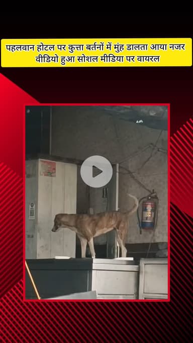 मेरठ: हापुड़ अड्डा चौराहे पर पहलवान होटल में कुत्ता बर्तनों में मुंह डालता हुआ आया नजर, वीडियो हुआ वायरल