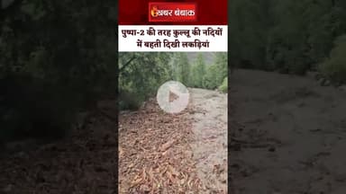 पुष्पा-2 की तरह कुल्लू की नदियों में बही लकड़ियां। Kullu News। Himachal Pradesh। #kullumanali