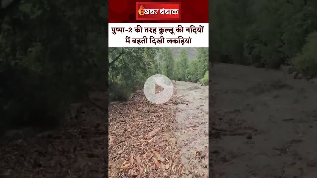 पुष्पा-2 की तरह कुल्लू की नदियों में बही लकड़ियां। Kullu News। Himachal Pradesh। #kullumanali