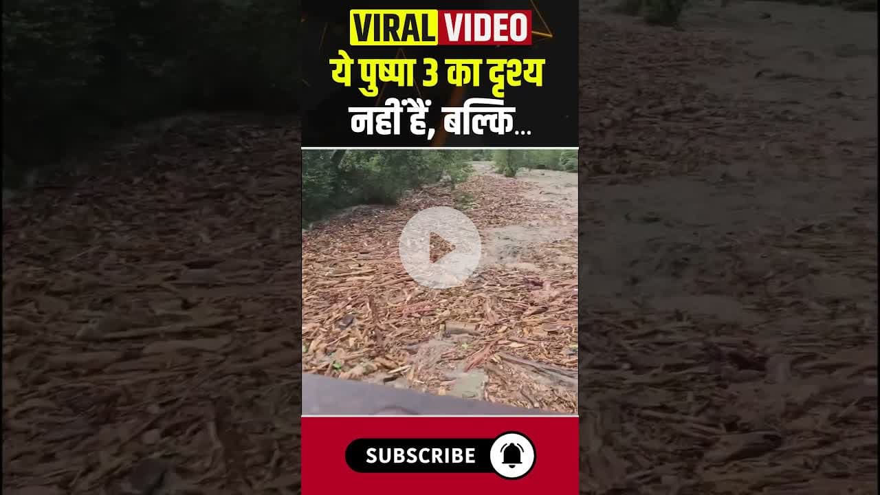 ये पुष्पा 3 के दृश्य नहीं हैं, बल्कि #flood #forest #puspa #bollywood #movie #river #heavyrain #wood