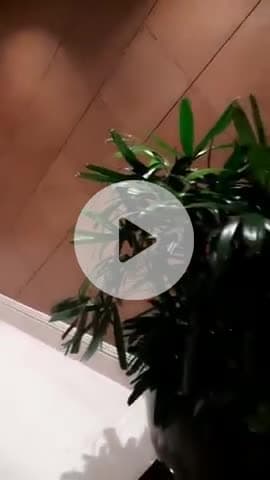 वफादार, मददगार एवं ईमानदारी के रास्ते पर#highlights कि इस रास्ते पर भीड़ कम मिलेगी.......
#highlight