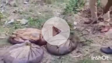 भाटपार रानी: भाटपार रानी समेत पूरे जिले में पुलिस ने अवैध शराब के खिलाफ चलाया अभियान, 102 स्थानों पर कार्रवाई की गई