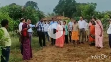 चितरंगी: गोड़बहरा पंचायत में आत्मनिर्भर महिलाओं ने तैयार किया आम का बाग, कलेक्टर और अधिकारियों ने किया दौरा