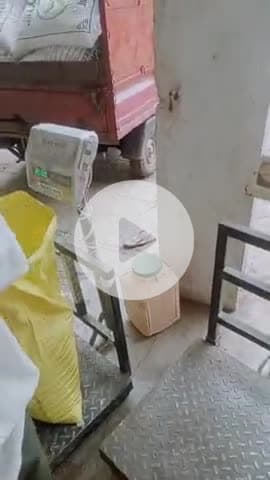 धान कोई सी भी वेराइटी का हो सभी का रेट हुआ एक जी है सिर्फ 4600रुपए कुंटल में दी जा रही हैं धान नई मंडी गेट के सामने ही