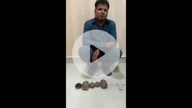 लाडपुरा: अवैध रूप से छावनी इलाके में दुर्लभ कछुए बेचते एक शख्स को वन विभाग की टीम ने किया गिरफ्तार