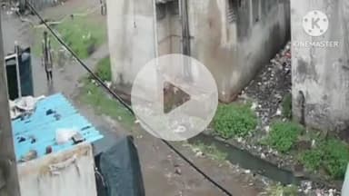 हुज़ूर: ई-रिक्शा चालक की हत्या का खुलासा, नाले में डूबने से हुई थी मौत