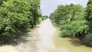 बल्दीराय: शारदा सहायक खंड 16 नहर में पानी आने से किसानों के चेहरे खिले, जल्द करेंगे धान की रोपाई#jansamasya