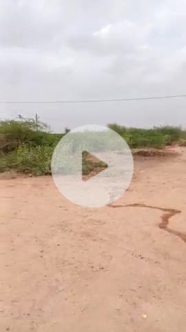 फतेहगढ़ में बबुल की झाडीयो में बेहतासा बढ़ोतरी आमजन परेशान