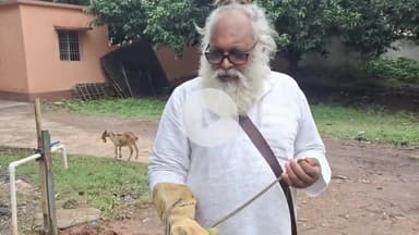 उड़न बाज सांप में जहर नहीं होता