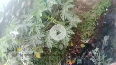 उमरेड वार्डनंबर-15 मंसूरी मोहल्ला में भरा पानी और रोड में भी आया पानी लोगो को हुई दिक्कट #umreth #chindwara #ABPnews