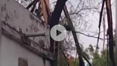 हुज़ूर: मार्तंड स्कूल के मैदान में पेड़ पर गिरी आकाशीय बिजली, बाल-बाल बचा स्टाफ