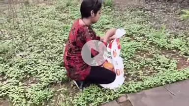 कटनी नगर: पुलिस कंट्रोल रूम और कटनी साउथ रेलवे स्टेशन पर निकला जहरीला गोह, दुर्गा चौक पर निकला सांप; किया गया रेस्क्यू