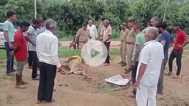 अमरोहा: डिडौली के गांव शेख़ीपुर गुर्जर में तेंदुए ने गाय को बनाया निशाना, गाय की हुई मौत