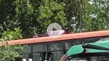 रामपुर: प्रेम प्रसंग में युवक ने पुल से कूदकर जान देने की कोशिश की, बस की छत पर गिरा युवक, ज़िला अस्पताल में भर्ती