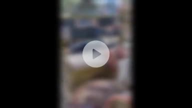 बड़ौत: बड़ौत-बुढ़ाना मार्ग पर बामनौली में अज्ञात वाहन की टक्कर से नीलगाय का बच्चा घायल, एक पैर टूटा