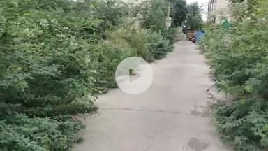 కనిగిరి: పట్టణంలోని 16,17,18 వార్డుల్లో చిల్లర చెట్ల సమస్యలను రెండు,మూడు రోజుల్లో పరిష్కరిస్తాం: కనిగిరి మున్సిపల్ చైర్మన్ గఫార్