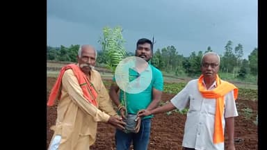 चांद: चांद नगर की टेकरी में नगर परिषद अध्यक्ष द्वारा 200 पौधों का रोपण