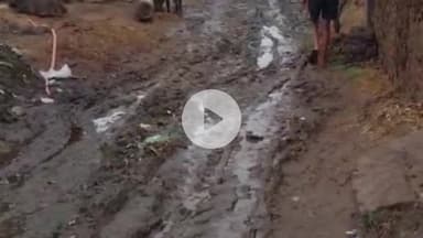 सहार: हातिमगंज पेरहाप पंचायत में जर्जर सड़क बनी ग्रामीणों की मुसीबत, आंदोलन की चेतावनी #jansamasya