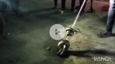 बरहट: मलयपुर बस्ती में खिड़की से लिपटे देखे गए 5 फीट के अजगर, परिवार वालों की उड़ी नींद