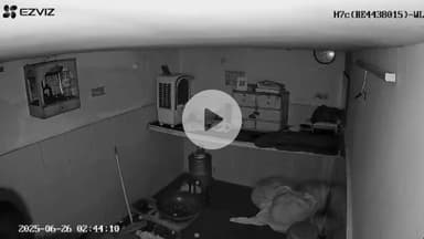 अजमेर: कवंडस पुरा क्षेत्र में चोरों ने फूलों की दुकान को बनाया निशाना, सीसीटीवी में दिखाई दिया अज्ञात चोर, पुलिस कर रही है जांच