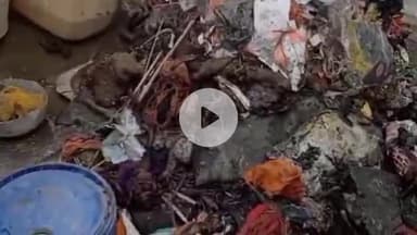 नाथनगर: बैरिया गांव में शॉर्ट सर्किट से लगी आग, अनाज और नकदी जलकर राख