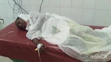 भभुआ: बहुआरा गांव में 5 वर्षीय बालक को 20-25 कुत्तों ने नोचा, सदर अस्पताल से हायर सेंटर रेफर