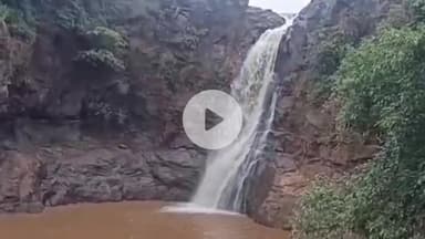 खरगौन: खरगोन जिले में बारिश से पहाड़ी अंचलों के झरनों में आया पानी