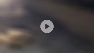 हुज़ूर: खड्डा टोल प्लाजा के पास नेशनल हाईवे 39 मवेशियों के खून से लाल, ट्रक ने 7 मवेशियों को कुचला