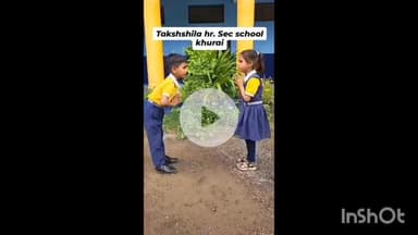 तक्षशिला हायर सेकेण्डरी स्कूल खुरई आपके अपने बच्चों के सर्वांगीण विकास के शहर का जाना माना विधालय है अपने बच्चों के उज्जवल भविष्य के लिए प्रवेश दिलाये