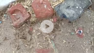 नौगावां सादात: नौगांवा तहसील क्षेत्र में दिखाई दे रहा तेंदुआ, खेत में मिले पंजे के निशान, गांव रामपुर के ग्रामीण परेशान